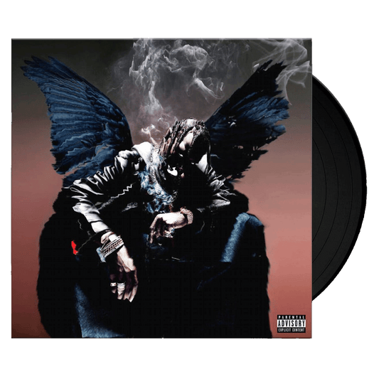Birds In The Trap Sing McKnight - 2 LP Standard Vinyl